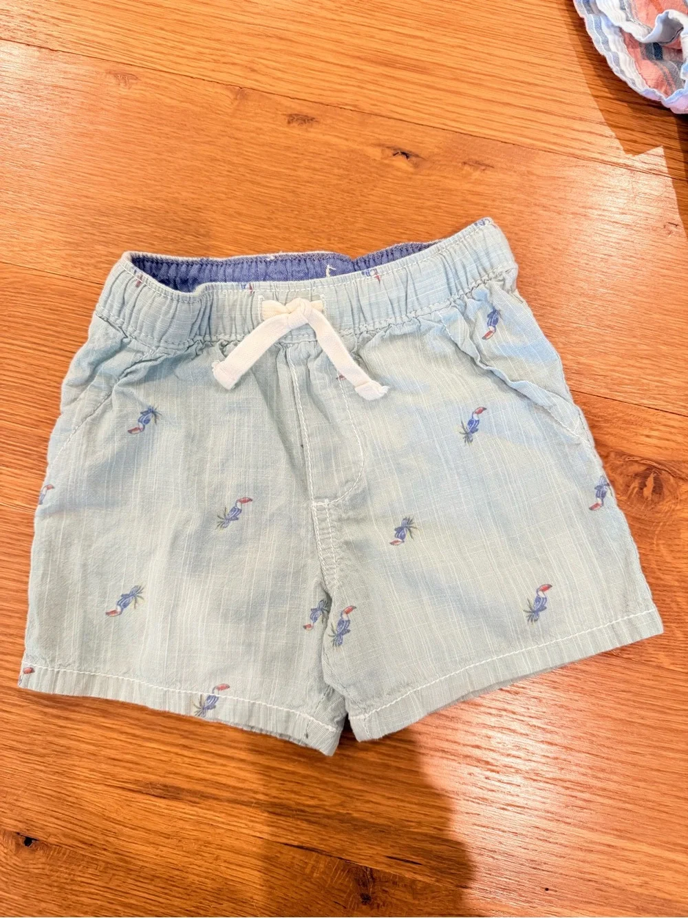 OshKosh Bgosh great gently